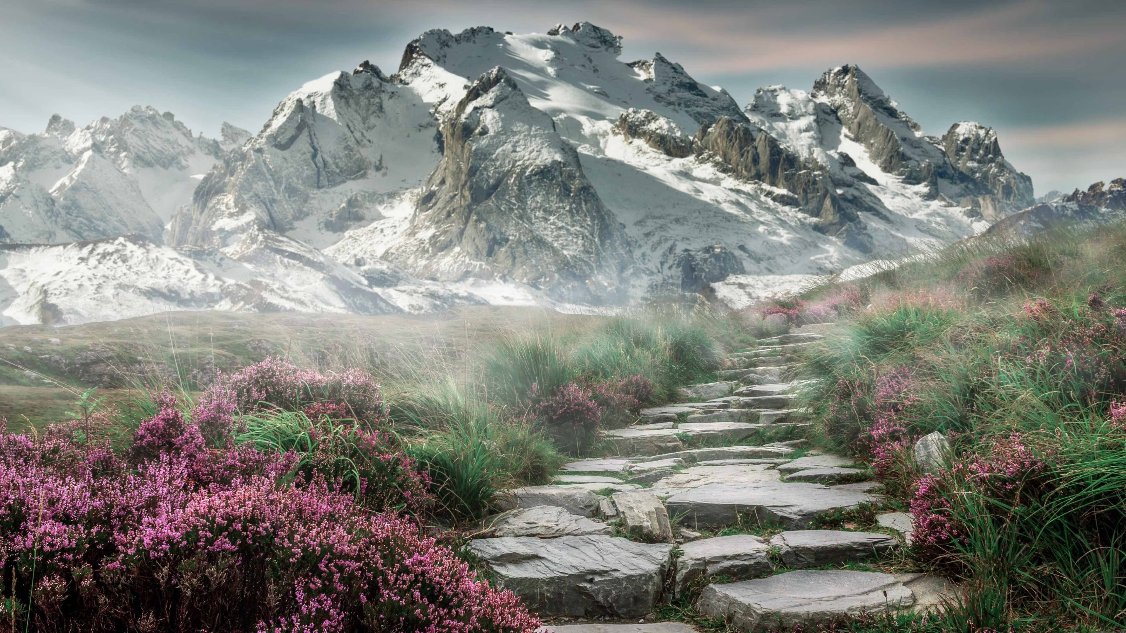 红旗漫卷樱花落，中国羽球轻骑破阵，戴资颖绝杀定乾坤