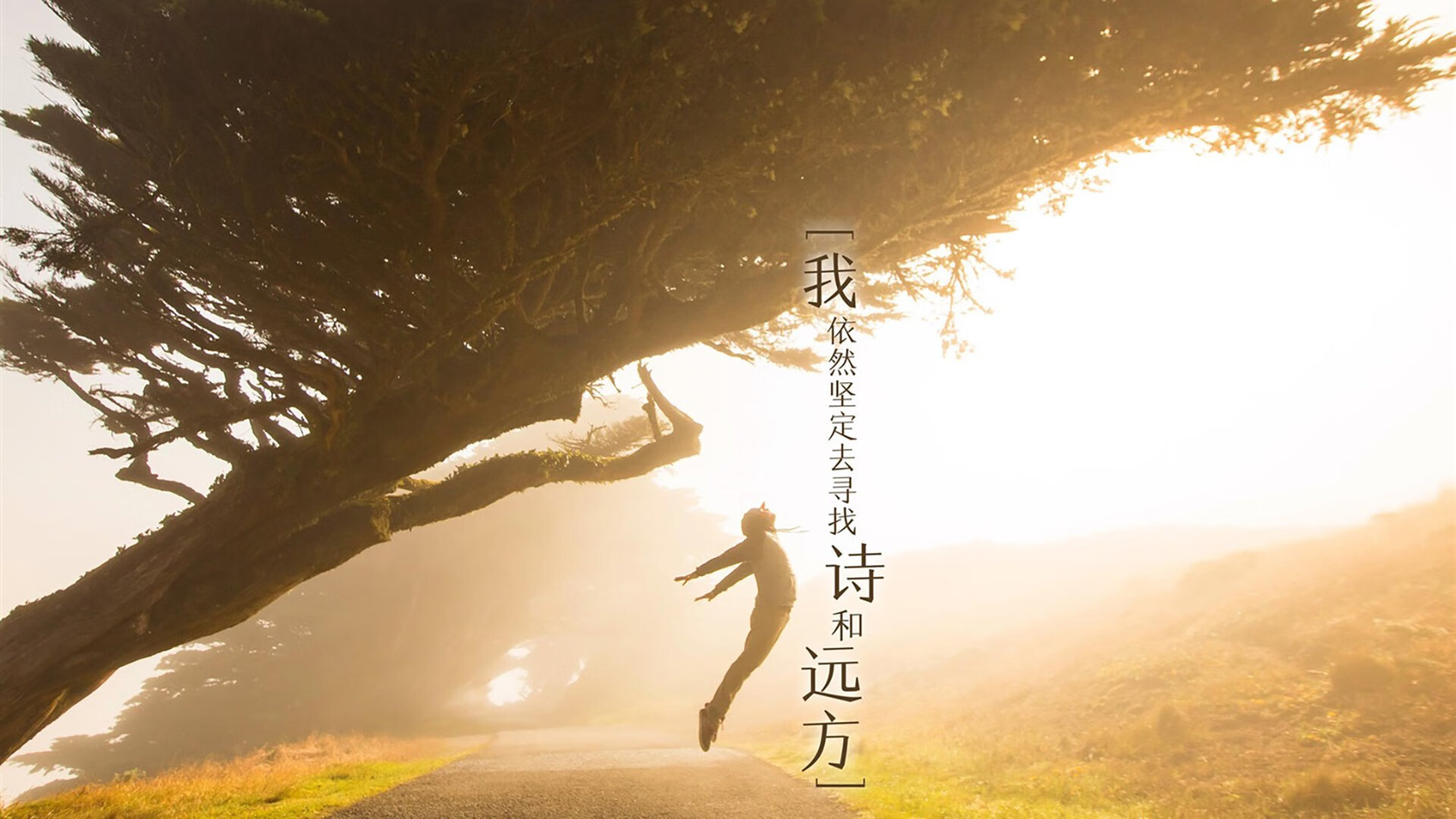 开云体育官网-异度球场，当虚拟勇士碾压山西，欧文在全息赛中点燃灵魂