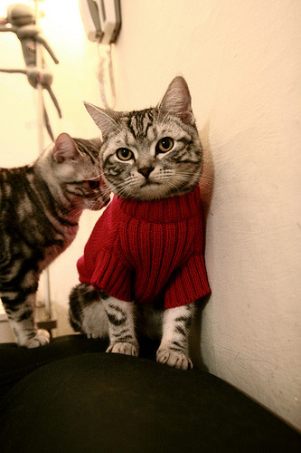 1.冰火交替，威廉姆斯的逆袭警钟与塞恩斯的灼热轨迹