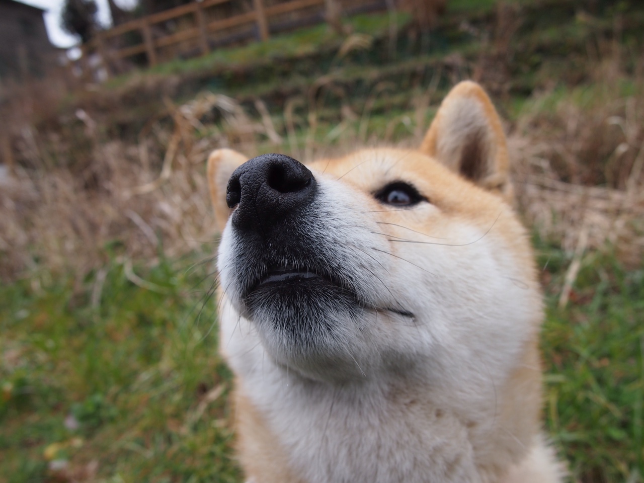 开云体育登录-当关键先生不再是后卫—浓眉用内线统治力重新定义比赛胜负手