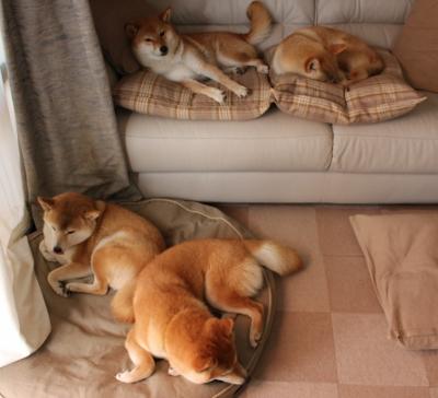 开云体育app-跨洋奇迹，辽宁队绝杀尼克斯，保罗制胜一击定乾坤