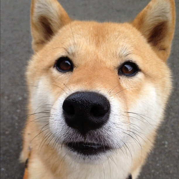 开云体育中国-当巴黎铁塔注视着他的背影，那个重新定义奥运周期的制胜夜晚