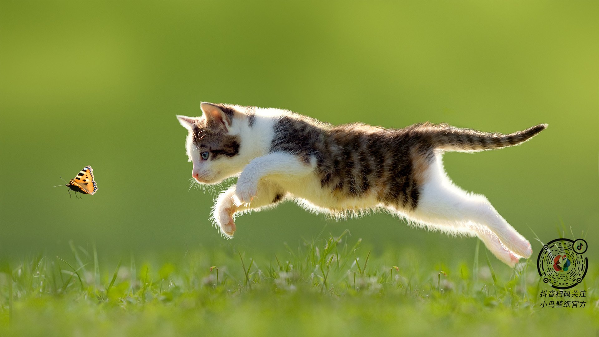 开云体育-冰与火之歌，恩比德举起审判之锤，猛龙的冷酷淘汰赛