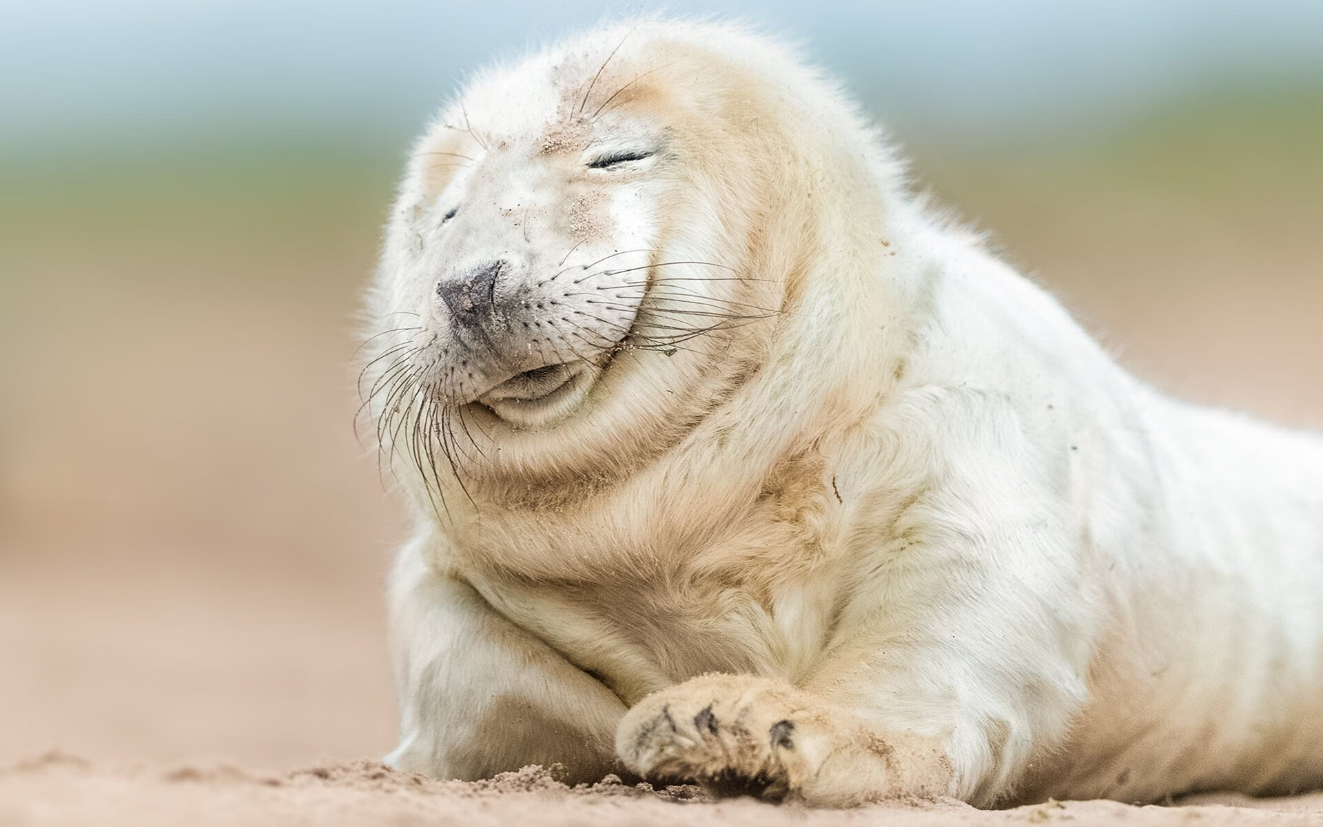 开云sport-超车与超越，当F1弯道哲学点燃NBA西部战场—太阳掀翻森林狼的年度争冠启示