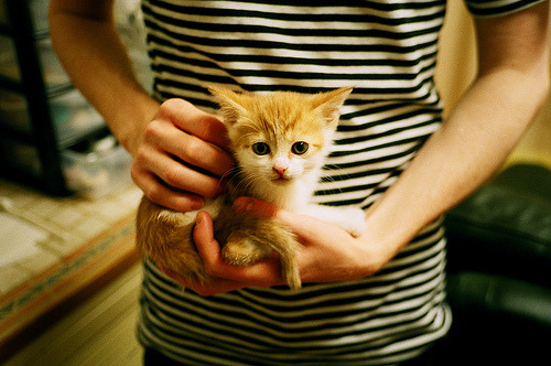 开云体育登录-团队至上的碾压艺术，马刺用教科书式攻防让独行侠窒息