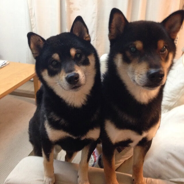 开云体育中国-疾速终章，当篮球巨星登上F1争冠王座