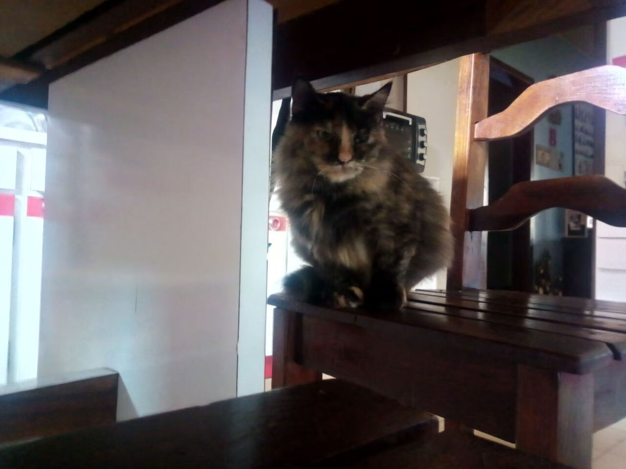 塞维利亚主场粉碎马竞霸权，皮克刷新西甲出场纪录