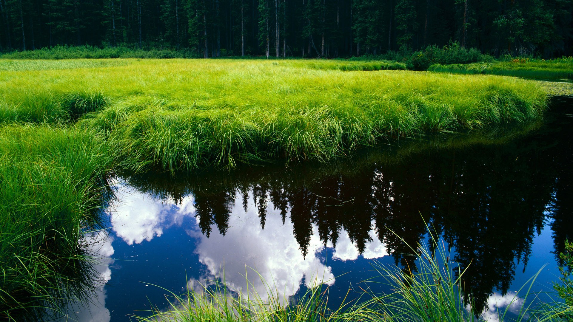 迪巴拉一锤定音的唯一性，为何AC米兰的火力压制唯独未能征服希腊之夜？
